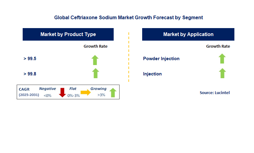 Ceftriaxone Sodium Market by Segment